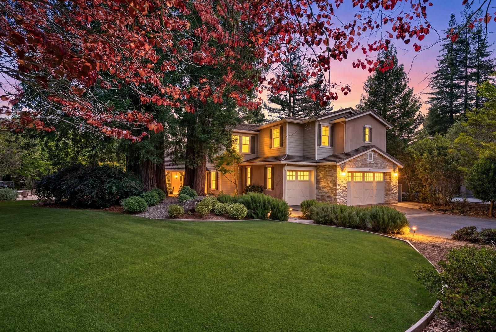 Twilight exterior with red Japanese maple and illuminated facade