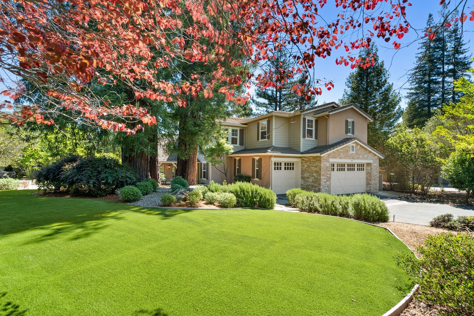 Manicured front lawn with red maple in autumn color
